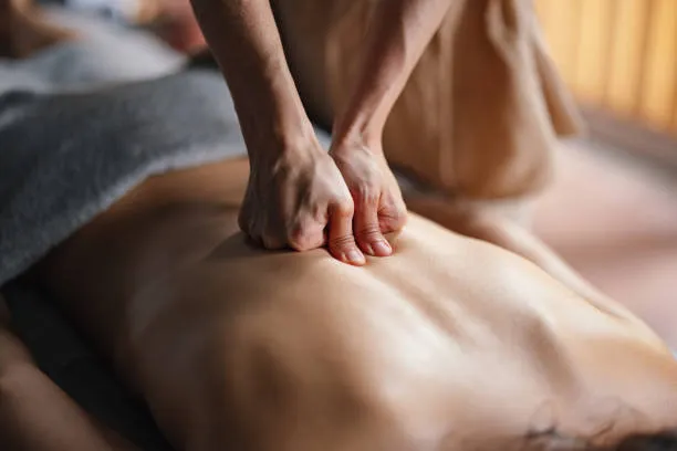 Massage Traditionnel 2